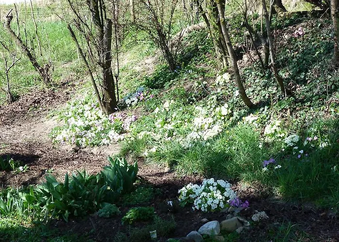 戈德堡住宿加早餐旅馆 住宿加早餐酒店 3*