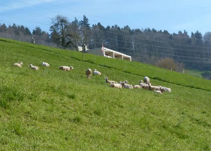 戈德堡住宿加早餐旅馆 住宿加早餐酒店 3*