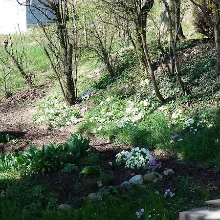 Goldberg فندق مبيت وإفطار 3*