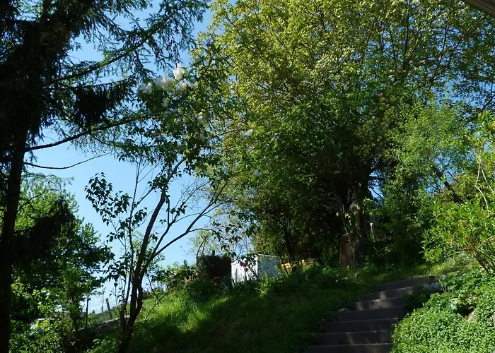 Goldberg Bed & Breakfast