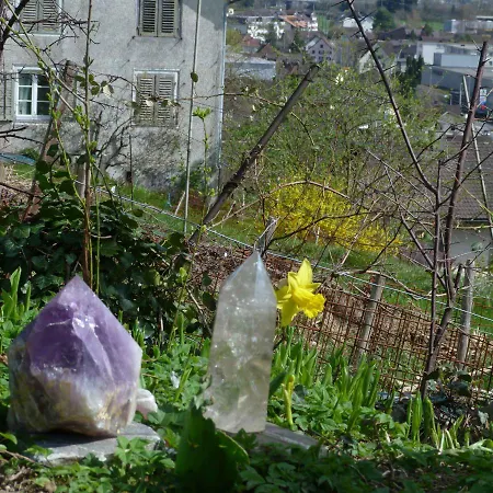 Goldberg فندق مبيت وإفطار 3*