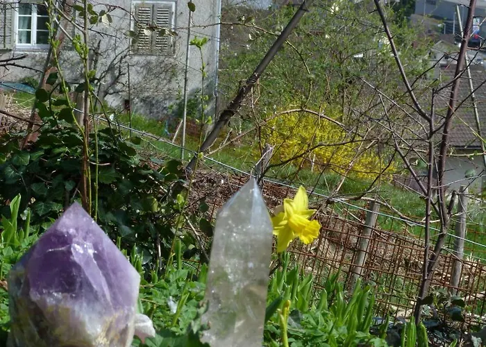 Goldberg Bed & Breakfast 3*